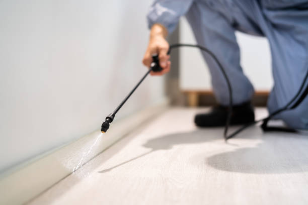 Licensed Cockroach Control service in Sheldon, IL - Nex Pest Control