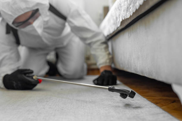 Professional Cockroach Control technician working in Sheldon, IL
