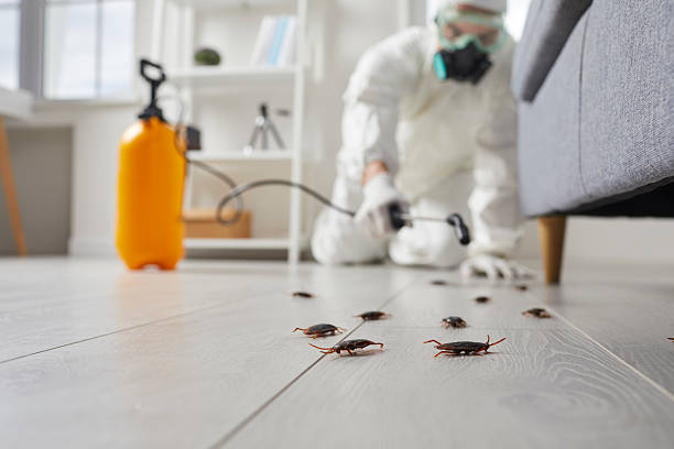 Trusted Cockroach Control service in Sheldon, IL - Nex Pest Control